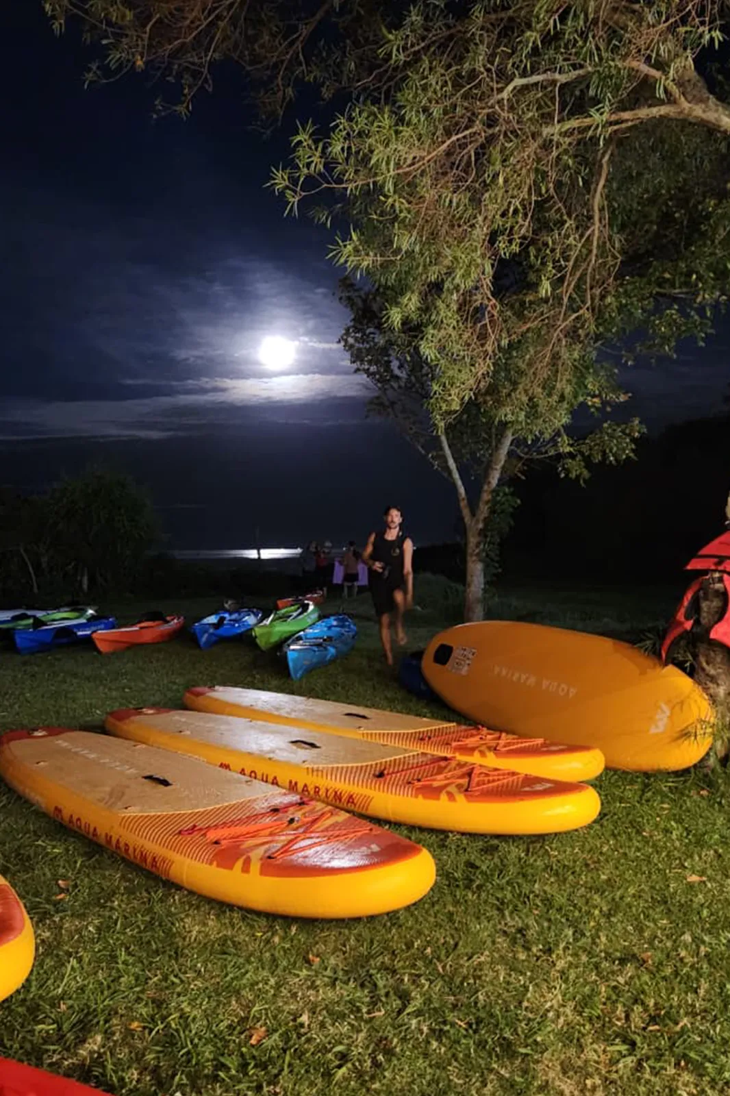 Actividad nautica en la costa de Hudson