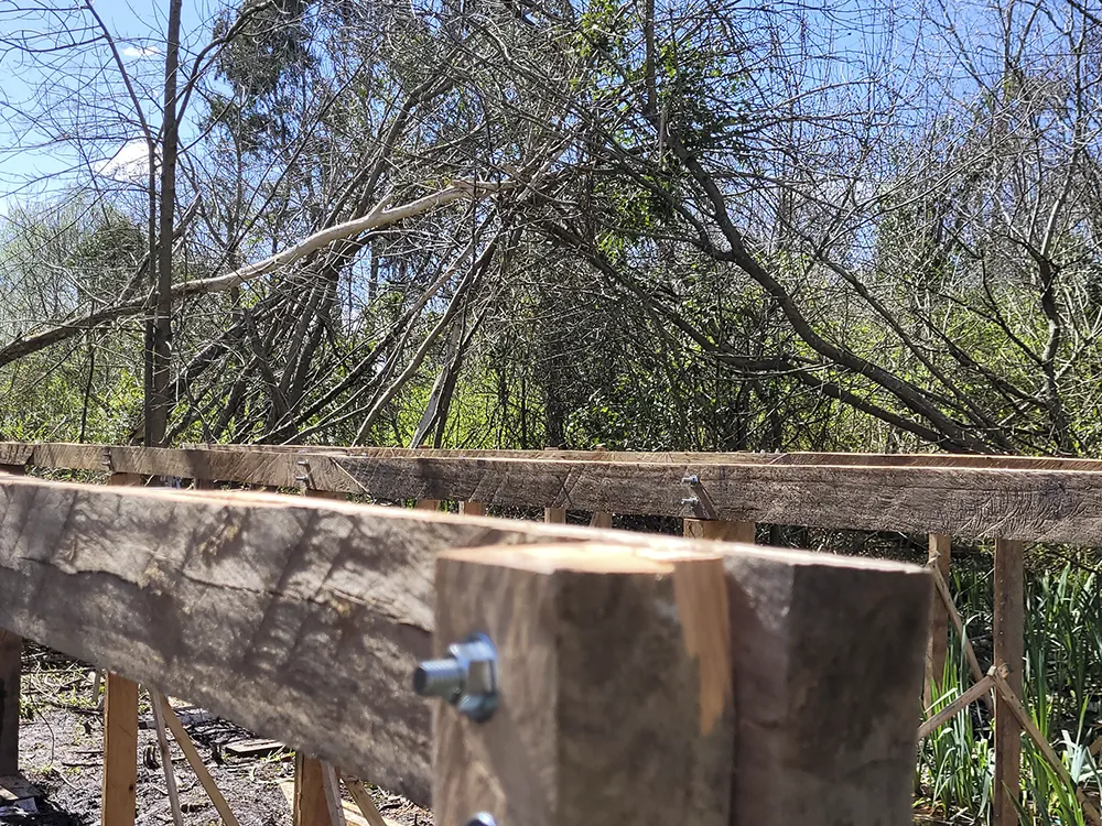 Domo integrado al paisaje de humedal