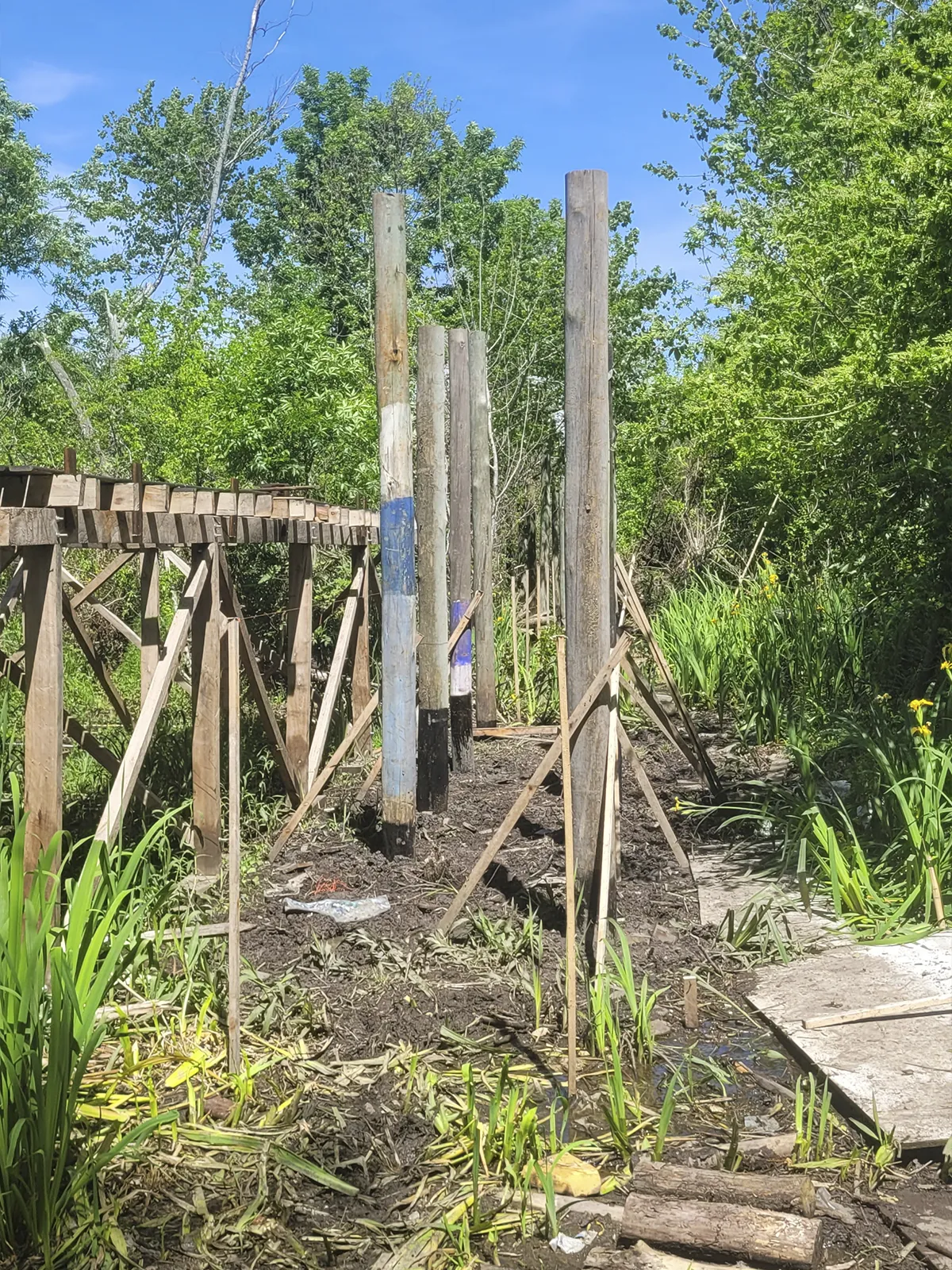 Experiencia de glamping en el humedal