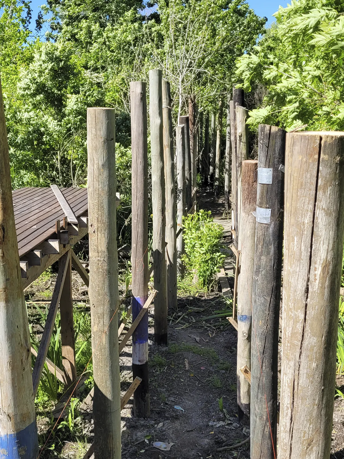 Interior del domo en el entorno natural