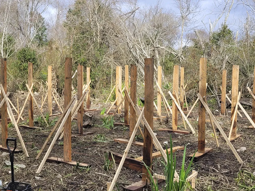 Glamping en contacto con el humedal